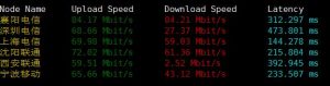 国内下载速度