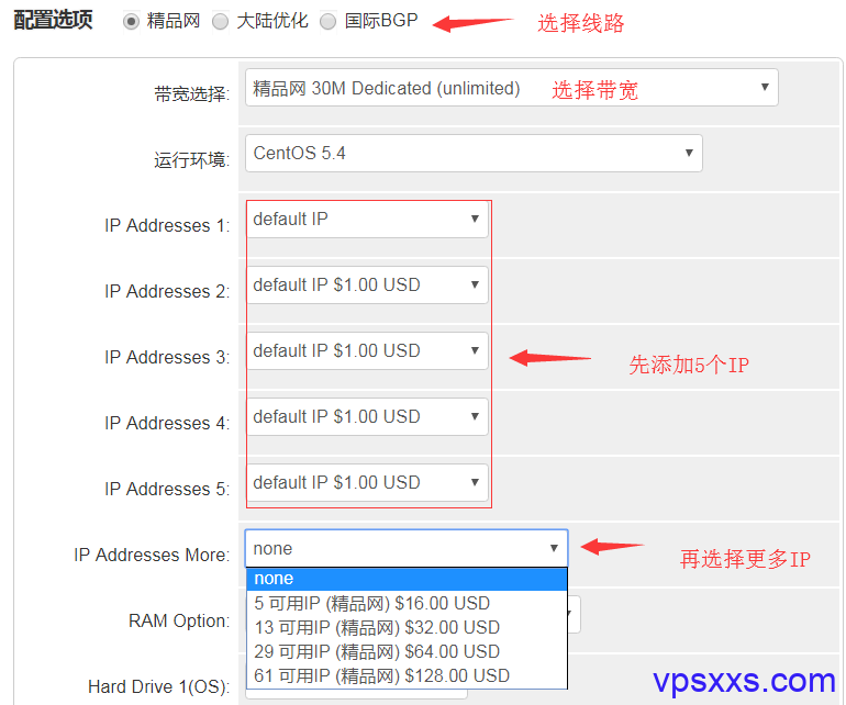 raksmart站群服务器