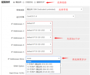 raksmart站群服务器