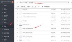 宝塔面板查看网站日志