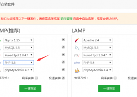 宝塔面板建站教程2：使用xshell在vultr vps服务器上安装宝塔面板并配置LNMP建站环境