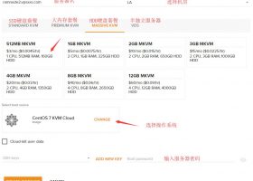 RamNode按小时计费OpenStack Cloud云服务器使用教程，支持支付宝微信，3美元/月，洛杉矶/西雅图/亚特兰大/荷兰