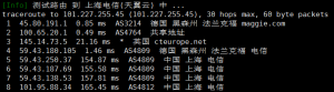 LOCVPS德国VPS电信回程路由