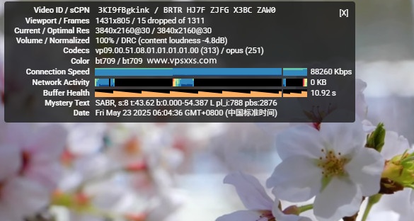六六云美国双ISP VPS看youtube
