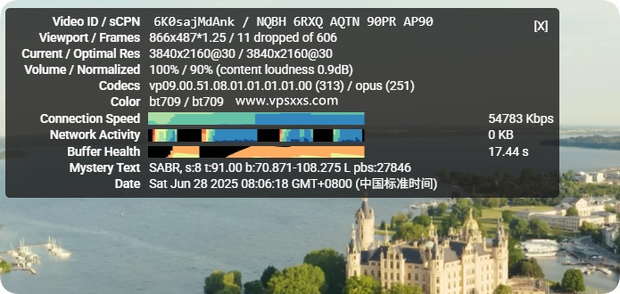 DigiRDP美国洛杉矶VPS看youtube