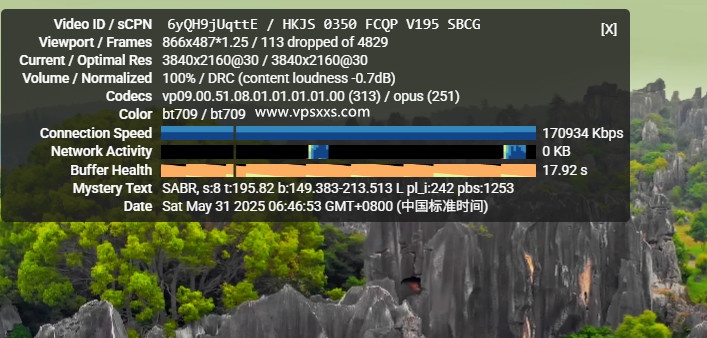 Evoxt印度尼西亚VPS看youtube
