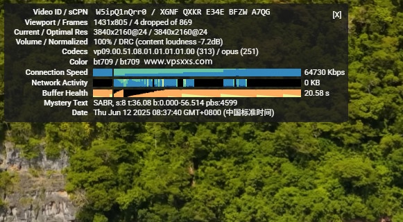 LOCVPS韩国双ISP原生IP VPS看youtube
