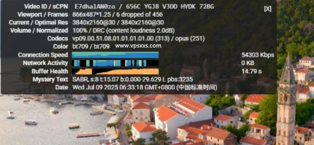 丽萨主机德国住宅IP VDS看youtube
