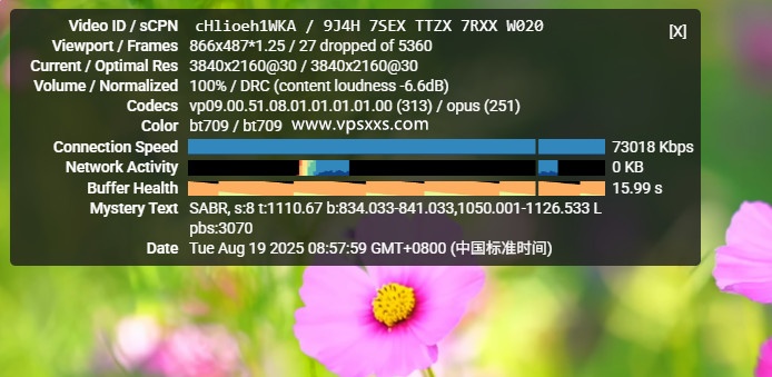 Kuroit美国芝加哥VPS看youtube