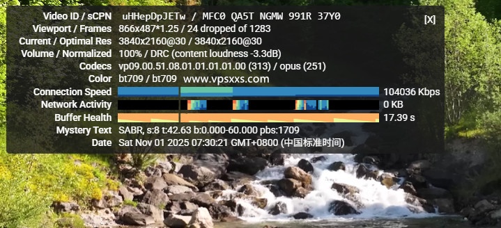 丽萨主机英国GTT住宅VPS看youtube