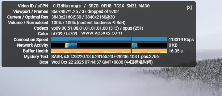 丽萨主机英国catixs VPS看youtube