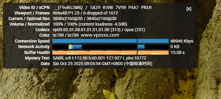 Hostwinds美国达拉斯VPS看youtube
