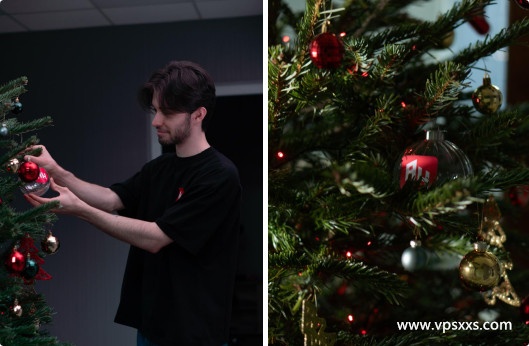 AlexHost今年最大促销，摩尔多瓦/罗马尼亚/荷兰/保加利亚/瑞士/瑞典/英国/法国抗投诉虚拟主机/VPS/独立服务器，无视DMCA/可匿名，支持Paypal/加密货币