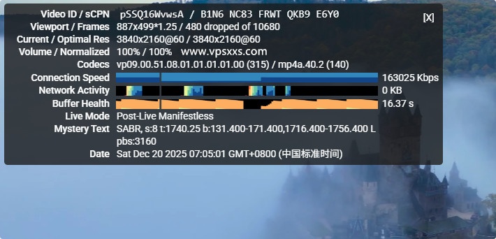 RAKsmart美国西雅图大陆优化VIP VPS看视频