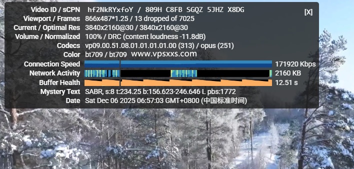 丽萨主机香港iCable住宅VPS看youtube