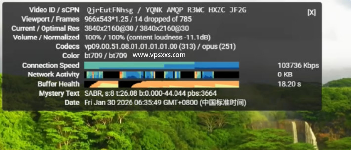 Tudcloud美国西雅图VPS看youtube