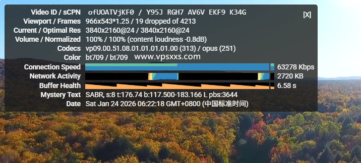 WePC马来西亚TikTok VPS看youtube