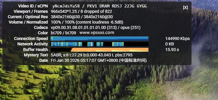 丽萨主机越南双ISP VPS看youtube