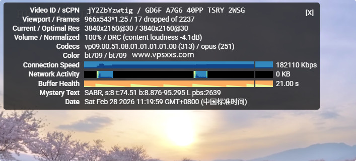 ZgoCloud日本东京VPS看youtube