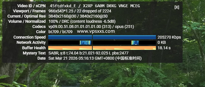 vmiss日本东京BGP VPS看youtube