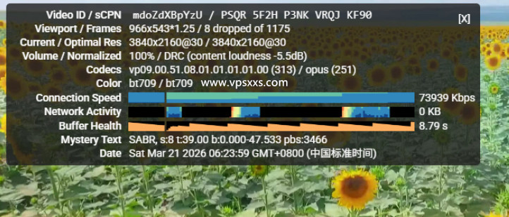 荫云德国双ISP VPS看youtube