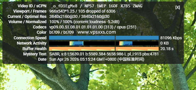 RAKsmart美国西雅图国际BGP VPS看youtube