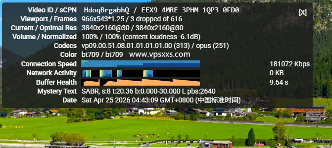 StarryDNS香港VPS看youtube