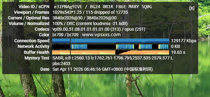 VinaHost越南VPS看youtube