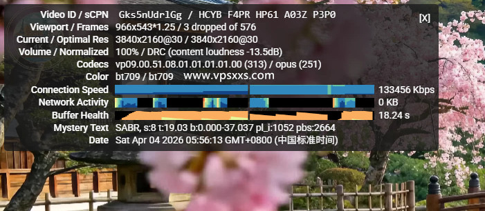 ZgoCloud美国三网精品VPS看youtube