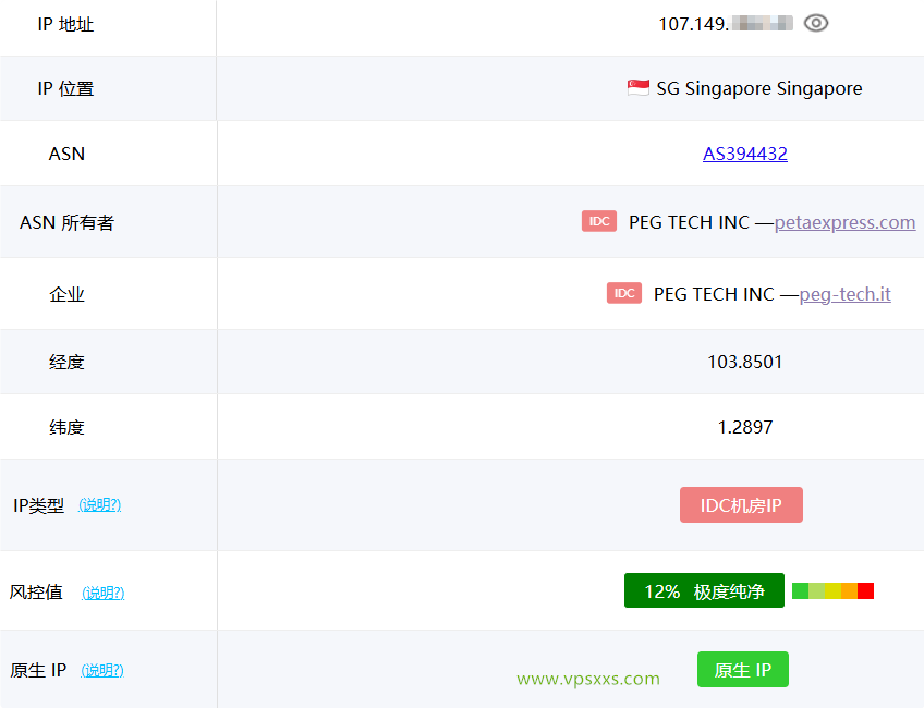 RAKsmart新加坡大陆优化VPS ping0是否家庭IP检测