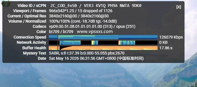 RAKsmart美国硅谷精品CN2 VPS看youtube