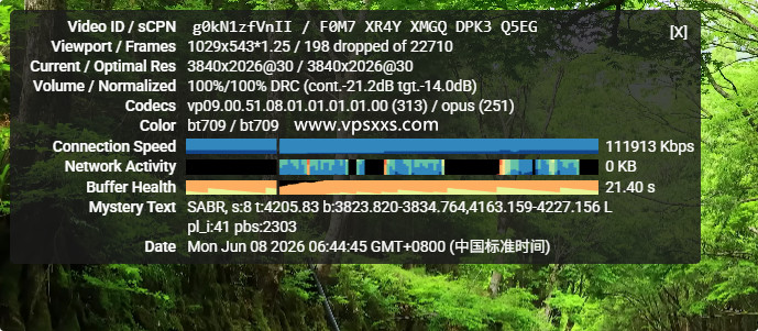DediOne美国洛杉矶CMIN2 VPS看youtube