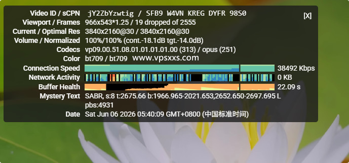 WePC南非TK专用VPS看youtube