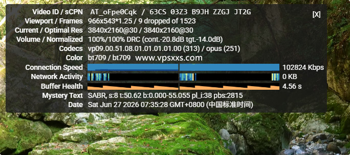 servarica加拿大VPS看youtube