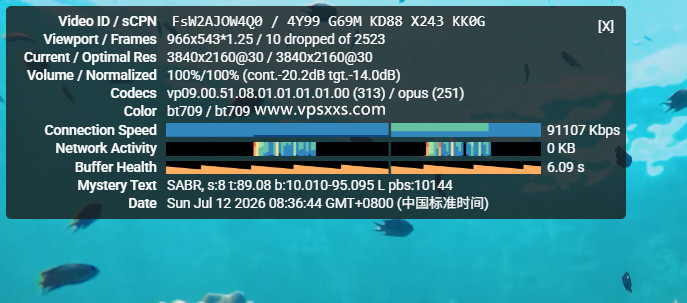 NovixLink美国高防VPS看youtube