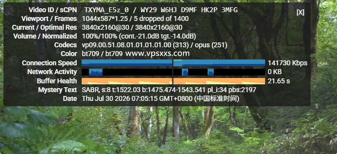 OneTechCloud德国VPS看youtube