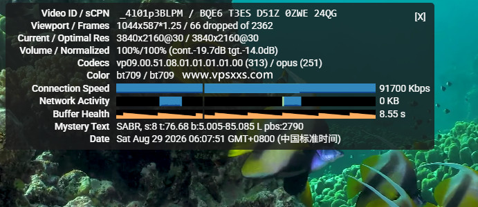 QQG.NET美国三网直连VPS看youtube