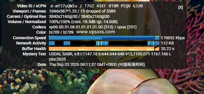 丽萨主机德国9929 VPS看youtube